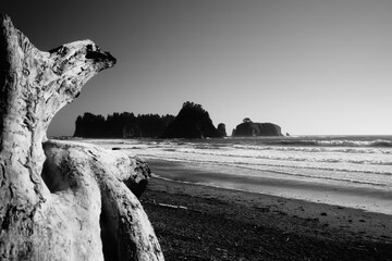 James Island seen from Rialto Beach, Olympic Peninsula, Washington