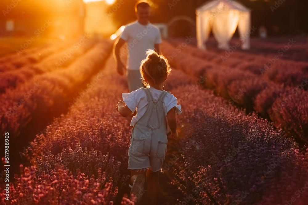 Wall mural fathers day. young dad and toddler child daughter are having fun in a lavender field in full bloom o