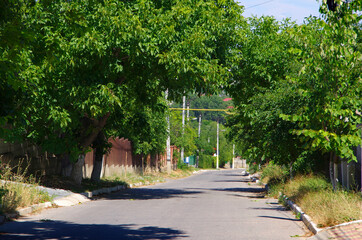 An asphalt road in the village of Trusheni near Chisinau.