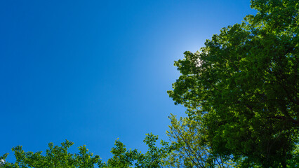 太陽のフレアと爽やかな青空