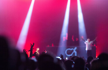 crowd at concert - summer music festival