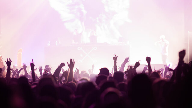 crowd at concert - summer music festival