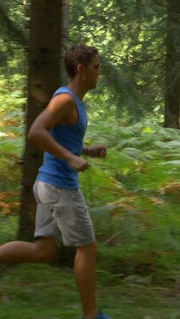 SLOW MOTION: Fit man running through the sunlit forest on a perfect summer day. Athletic male exploring the tranquil wilderness by jogging through the coniferous forest on a sunny day in spring.