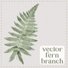 Hand drowning vector watercolored fern leaf
