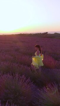 DRONE, LENS FLARE: Tourist girl exploring the breathtaking fields of lavender in Provence. Golden morning sun rays shine on the woman in yellow dress walking along lavender shrubs in full bloom.