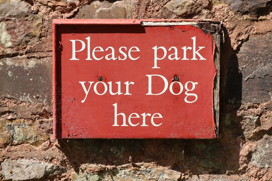 Humorous sign requesting that dogs can be left here. The sign is o;d and falling apart