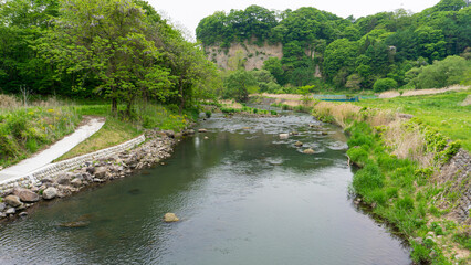 Fototapeta na wymiar 河原の風景