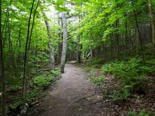 Hiking trail through Fundy National Park
