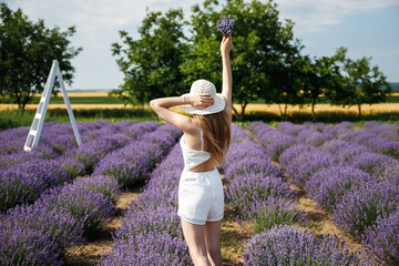 A girl in a hat with a bouquet of lavender in her hand is standing in the middle of a lavender plantation.