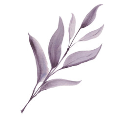 Tree leaf. Watercolor purple leaves. A set elements on a white background.