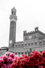  The Palazzo Pubblico, town hall is a palace in Siena, Italy