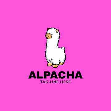 aphaca llama cute animal logo vector