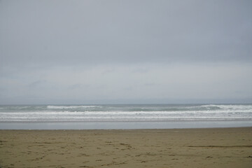 Sandy beach by ocean. Seaside. Landscape of sea coast. Wave rolls on sand.