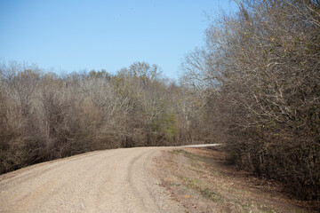 Gravel Road in the Wilderness