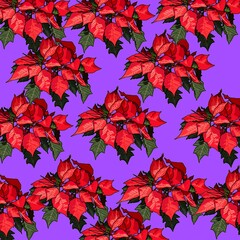 Poinsettia flower pattern background picture