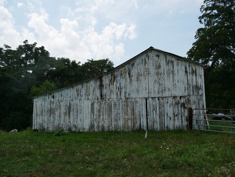 Old White Washed Barn