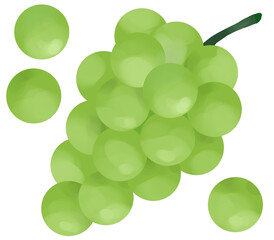 緑のぶどうのイラスト