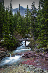 Beautiful Waterfalls of America&rsquo;s National Parks Glacier National Park Montana