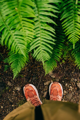 Woman's feet near the green fern leaves