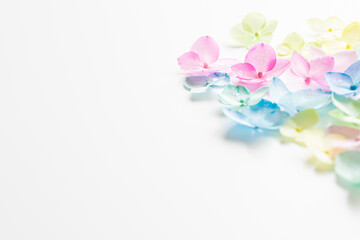 花　可愛い　背景　フレーム　パステルカラー　コピースペース