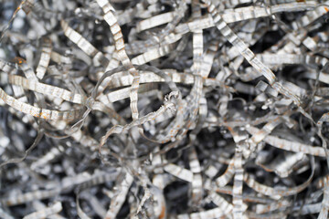 Steel scrap materials recycling. Aluminum chip waste after machining metal parts on a cnc lathe. Closeup twisted spiral steel shavings. Small roughness sharpness,