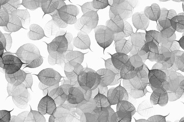 Black and white image of vein leaves on white backgroun