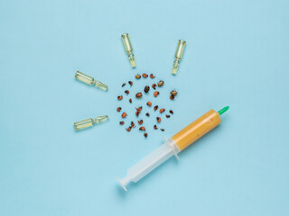 Ampoules and a syringe with insect poison and Colorado beetles on a blue background. Minimal concept of pest control.