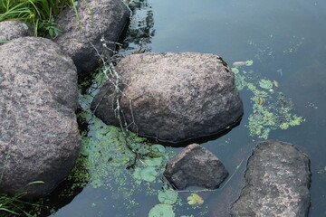 zen stones in water