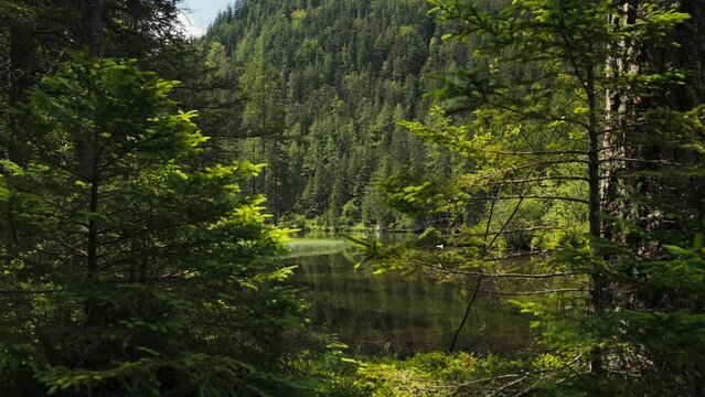 Gruner See, beautiful green lake with crystal clear water in summer, Gruner See, Styria, Austria
