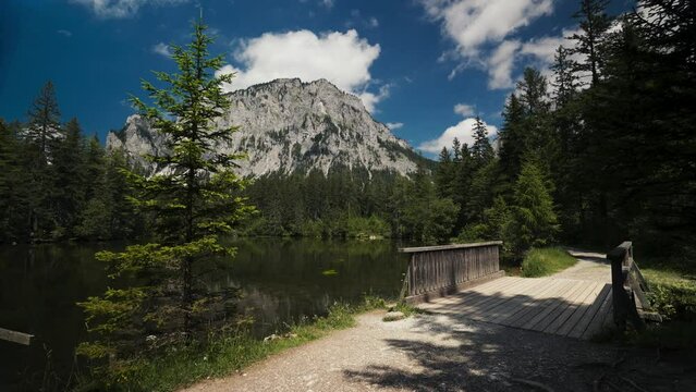 Gruner See, beautiful green lake with crystal clear water in summer, Gruner See, Styria, Austria