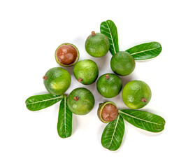 Macadamia nuts isolated on white background. Top view