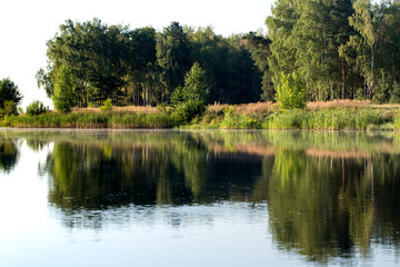 Fototapeta na wymiar Lake shore, water surface of calm wate