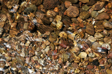 stream in autumn