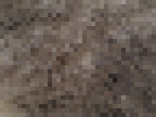 Mosaic abstract gradient pale and dark ( brown and black ) color pixel art for background usage