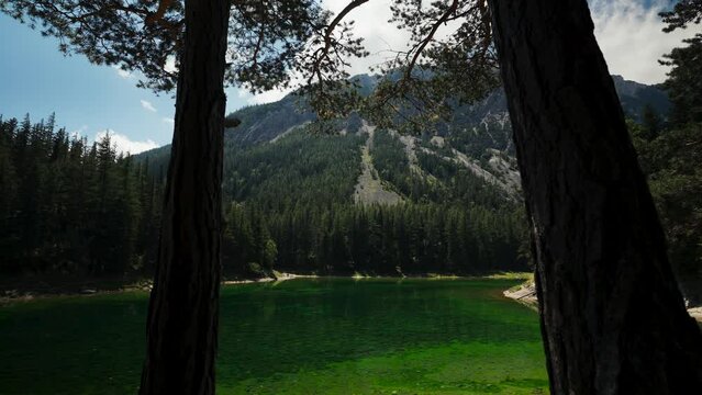 Gruner See, beautiful green lake with crystal clear water in summer, Gruner See, Styria, Austria