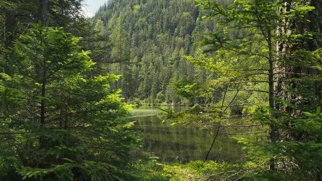 Gruner See, beautiful green lake with crystal clear water in summer, Gruner See, Styria, Austria