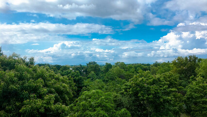 Fototapeta premium Stand high in the clear weather and look at the sky and woods