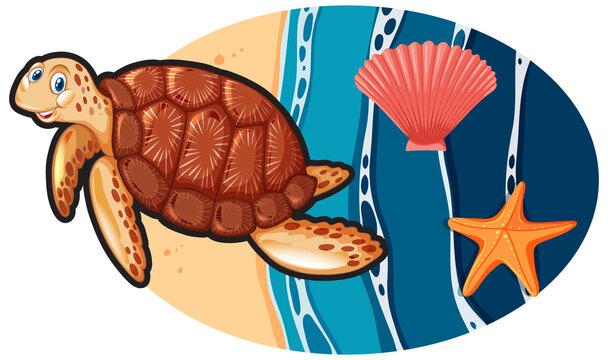 Turtle and shell in cartoon style