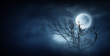 Naklejka na ściany i meble Spooky night image . Mixed media