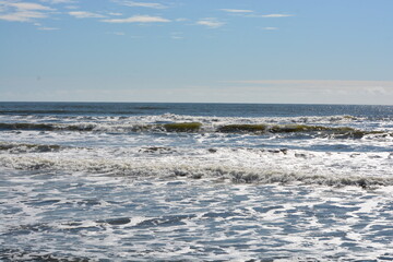 Kalaloch Beaches Washington 7253