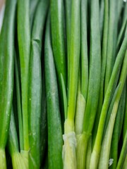 신선한 유기농 채소 파 