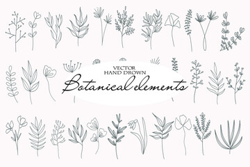 Large set of hand drawn botanical elements in vector. Perfect for design.