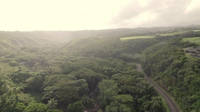 aerial of Maui, Hawaii, and the meandering roads that provide a spirited driving experience.  A lush green natural landscape makes up a large portion of the island that Hawaiians call home.
