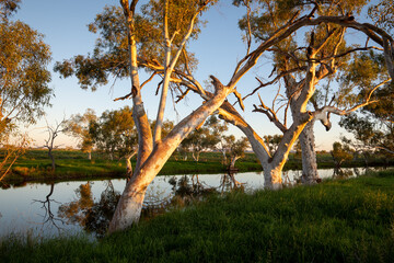 Dusk at Caroline River lagoon