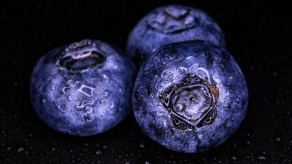 blueberries in water isolated on a black background
