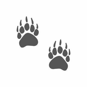 bear tracks. raster simple illustration