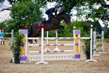 Show jumping, rider with horse over the jump, horizontal format colored..