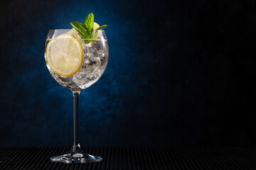 Gin tonic cocktail - obrazy, fototapety, plakaty