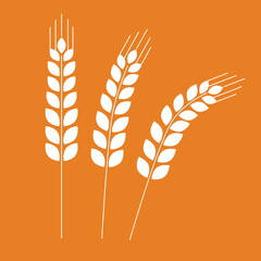 Ear wheat rye barley icon symbol vector illustration