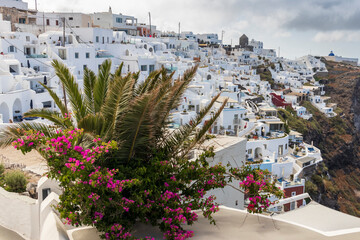 Houses on the top of the caldera at Santorin Island. Cyclades. Greece. - obrazy, fototapety, plakaty